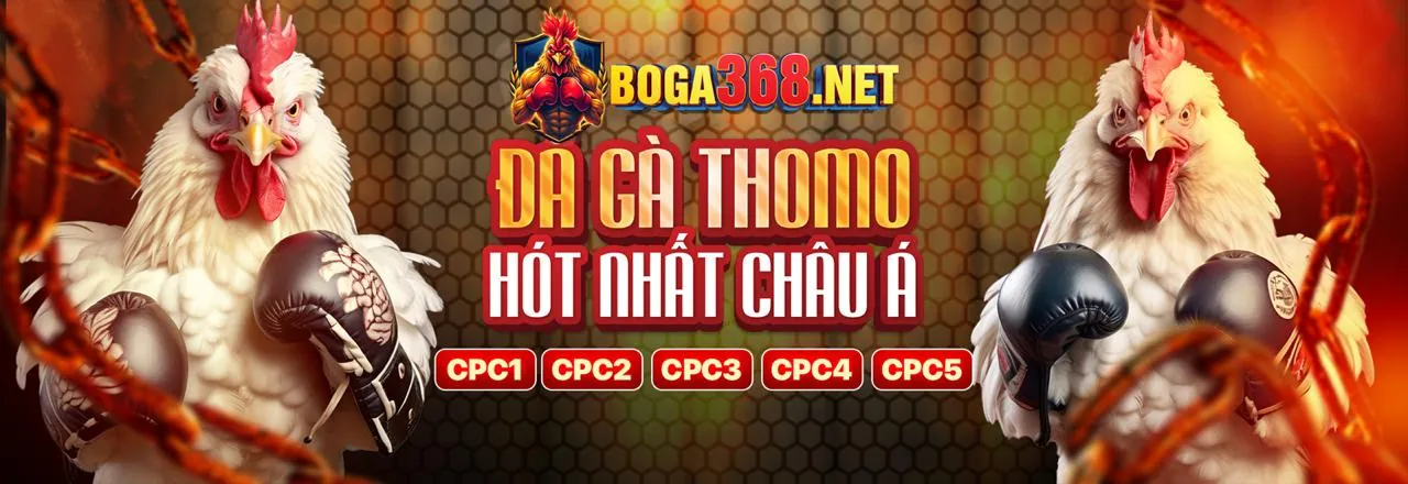 Đá Gà Trực Tuyến bongso88 Link Vào Chính Thức